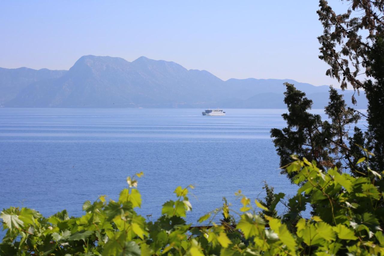 Apartments And Rooms By The Sea Trpanj, Peljesac - 258 Kültér fotó