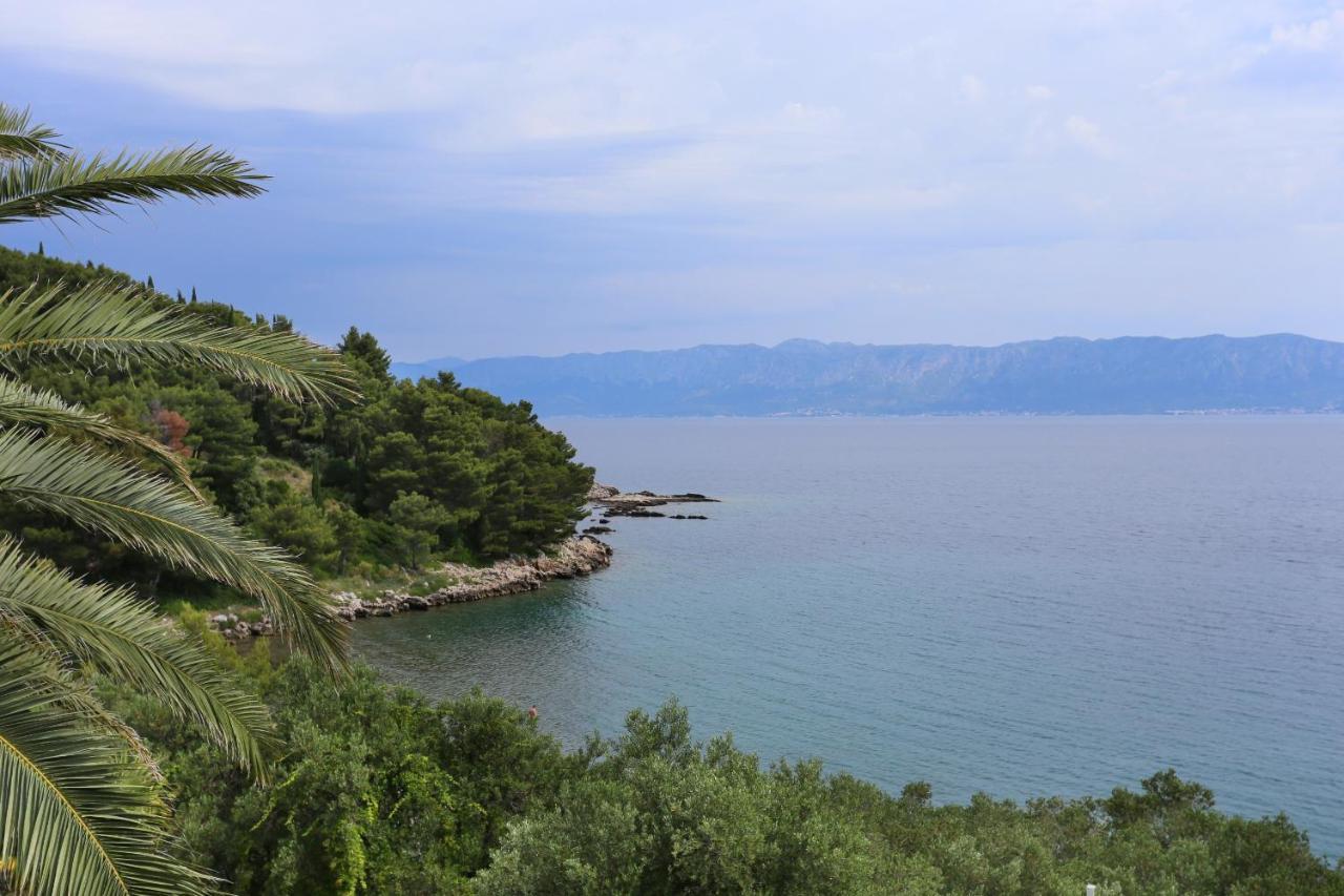 Apartments And Rooms By The Sea Trpanj, Peljesac - 258 Kültér fotó